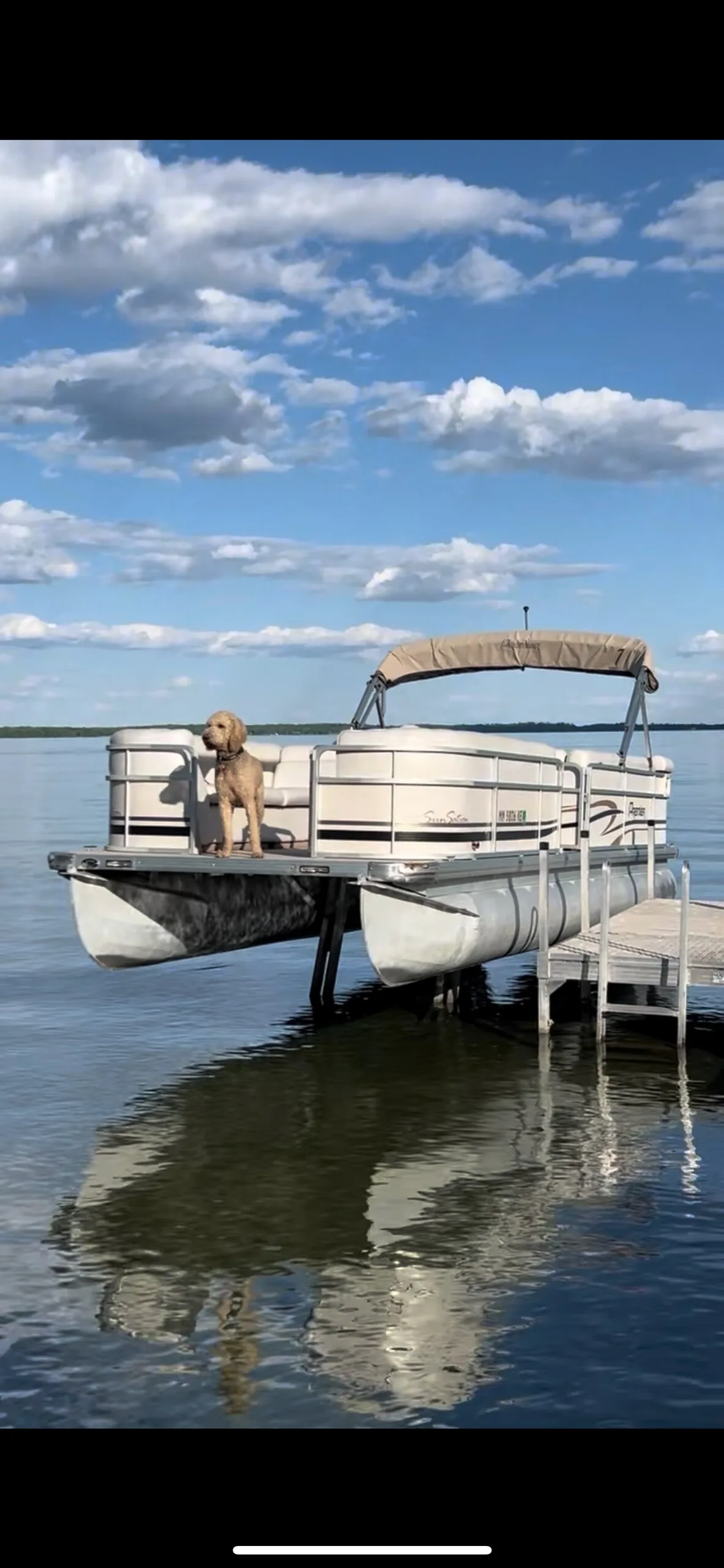 Pontoon boat docked on Lake Miltona with a friendly dog aboard on a beautiful day